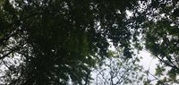 照片