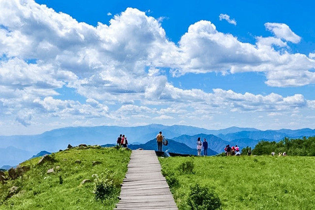 另外很多游客还会将和房山白草畔景区和野三坡白草畔景区与这两个景区