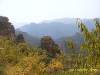 照片