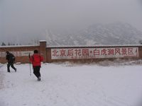 照片