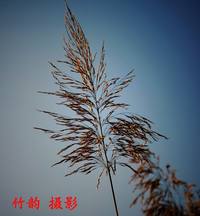 照片