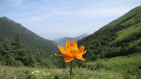 照片