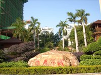 照片