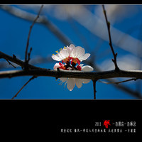 照片
