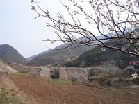 照片