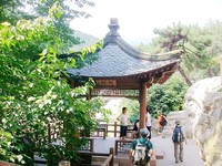 照片
