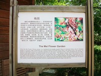 照片