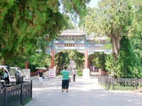 照片