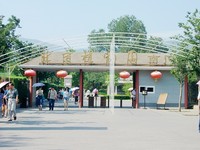 照片