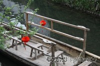 照片