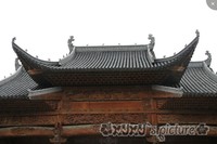 照片