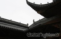 照片