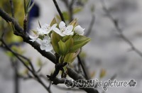 照片