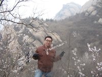 照片