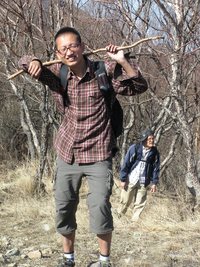 照片