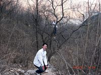 照片
