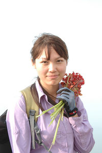 照片