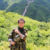 风岚溯