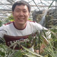 照片