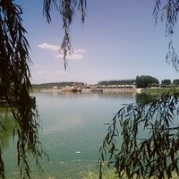 沉默2013