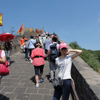 窗口梦