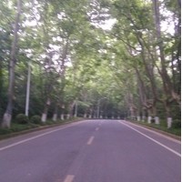 照片