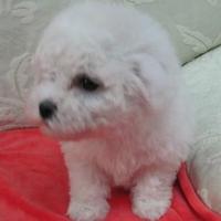 云淡淡