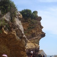 张惠君