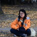 照片