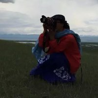 飘逸飘