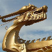    狂    龙