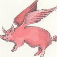 flyingpiggy