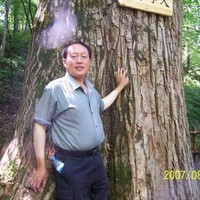 梦断天涯