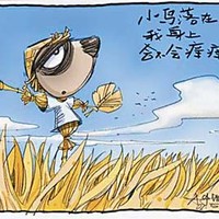 大亮有三宝