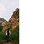 南山