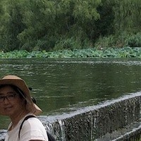 照片
