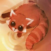 照片