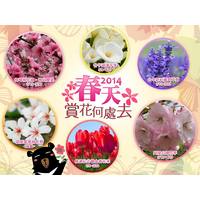 照片