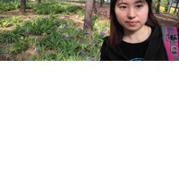照片
