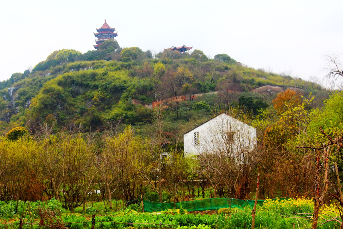 温榆迁客的相册-江南游之二 太湖西山岛