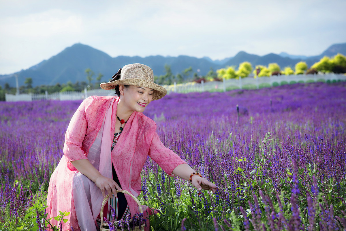 You Mu 昌平七孔桥花海,昌平七孔桥花海略,昌平7孔桥花海_大山谷图库